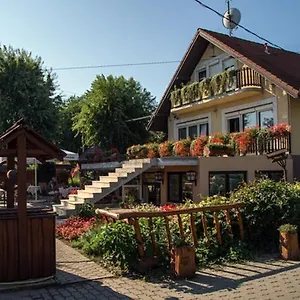 Sarokhaz Panzio Bed and breakfast
